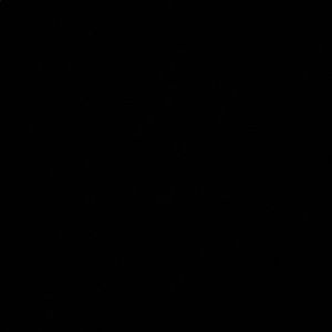 Meet your Posher, Queena